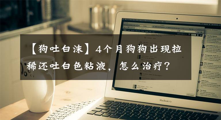 【狗吐白沫】4个月狗狗出现拉稀还吐白色粘液，怎么治疗？