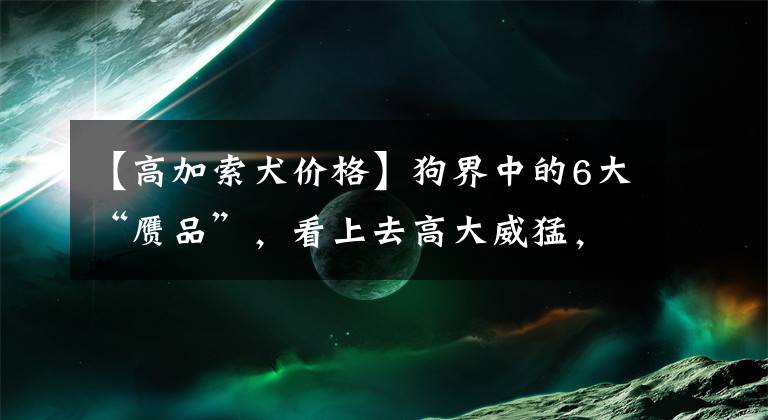 【高加索犬价格】狗界中的6大“赝品”，看上去高大威猛，实际中看不中用