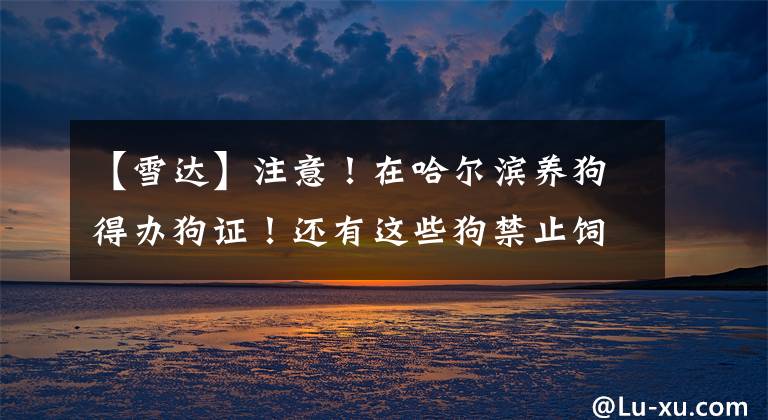 【雪达】注意！在哈尔滨养狗得办狗证！还有这些狗禁止饲养