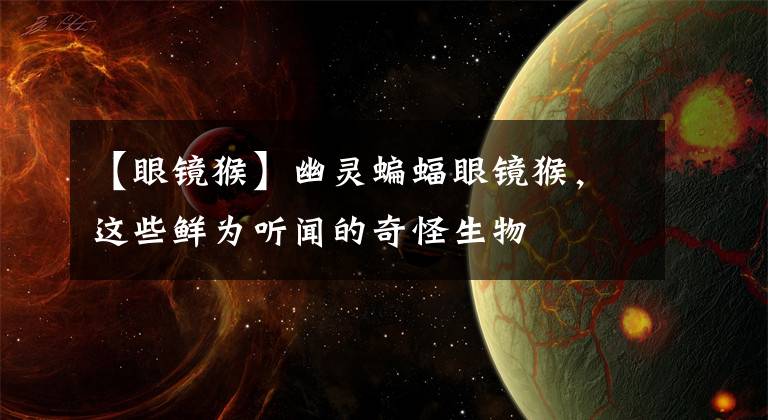 【眼镜猴】幽灵蝙蝠眼镜猴，这些鲜为听闻的奇怪生物