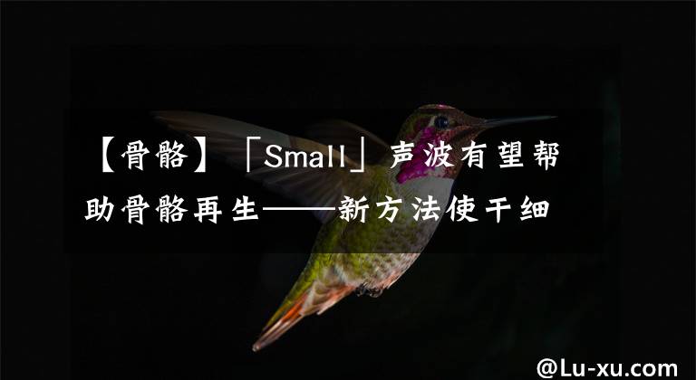 【骨骼】「Small」声波有望帮助骨骼再生——新方法使干细胞转化为骨细胞更加快速简单