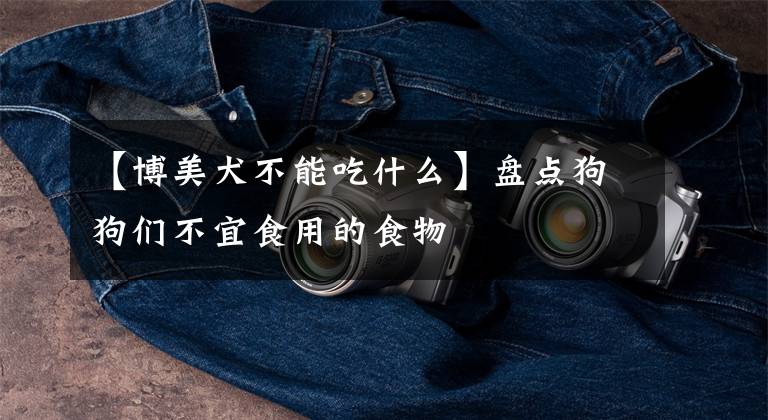 【博美犬不能吃什么】盘点狗狗们不宜食用的食物