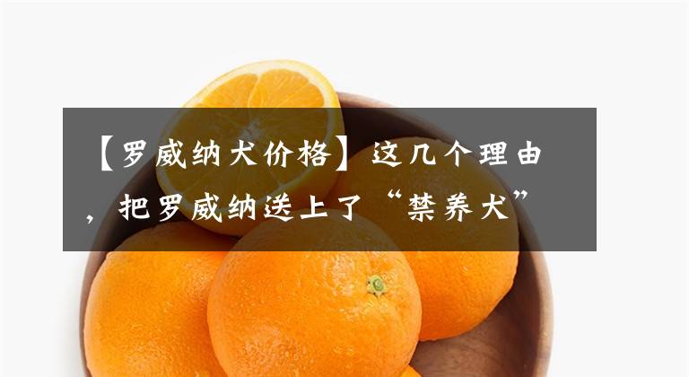 【罗威纳犬价格】这几个理由,把罗威纳送上了“禁养犬”名单