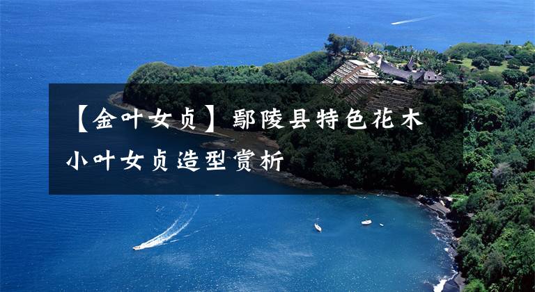 【金叶女贞】鄢陵县特色花木小叶女贞造型赏析