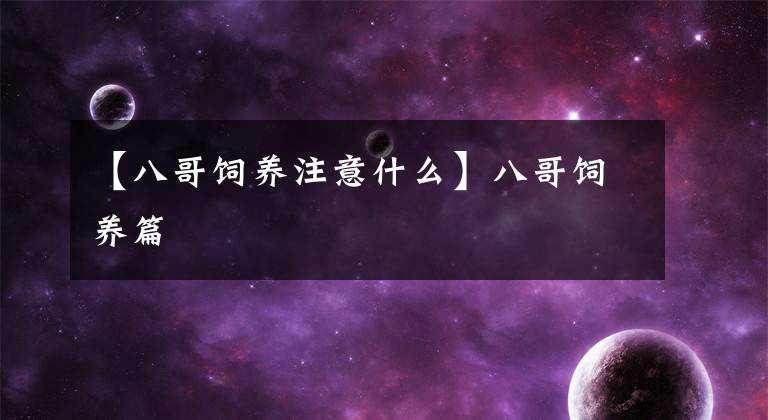 【八哥饲养注意什么】八哥饲养篇