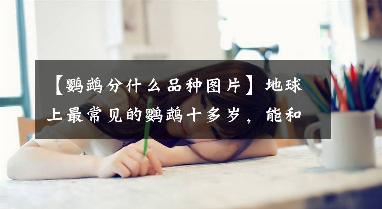 【鹦鹉分什么品种图片】地球上最常见的鹦鹉十多岁，能和第八个人对话，你养了什么？