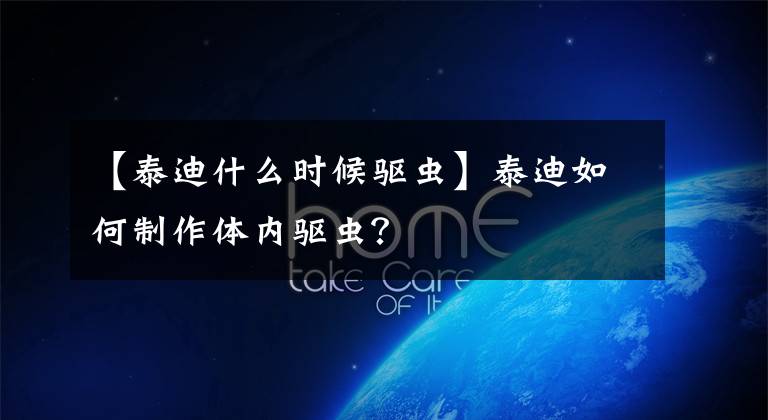 【泰迪什么时候驱虫】泰迪如何制作体内驱虫？