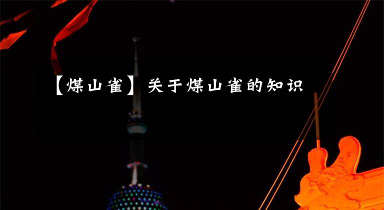 【煤山雀】关于煤山雀的知识