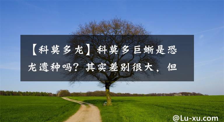 【科莫多龙】科莫多巨蜥是恐龙遗种吗?其实差别很大,但恐龙后裔却大量存在