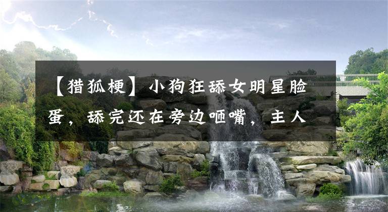 【猎狐梗】小狗狂舔女明星脸蛋,舔完还在旁边咂嘴,主人几次驱赶都不愿走