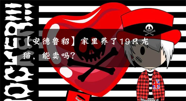 【安德鲁貂】家里养了19只龙猫，能卖吗？