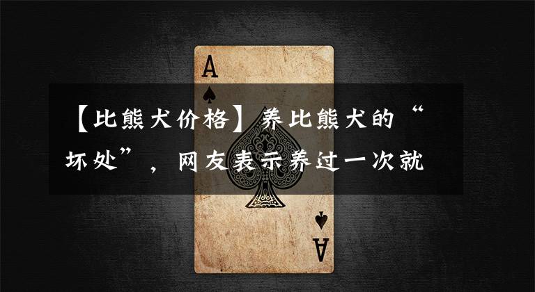 【比熊犬价格】养比熊犬的“坏处”，网友表示养过一次就不会有下次了