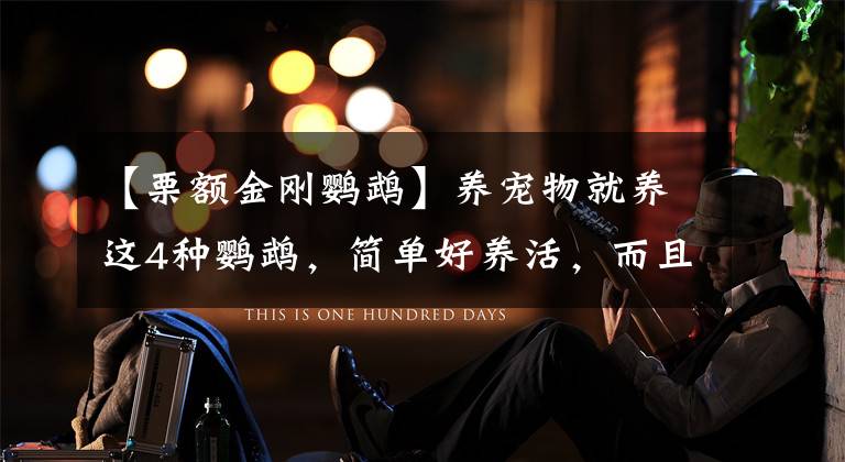 【栗额金刚鹦鹉】养宠物就养这4种鹦鹉,简单好养活,而且寿命都非常的长