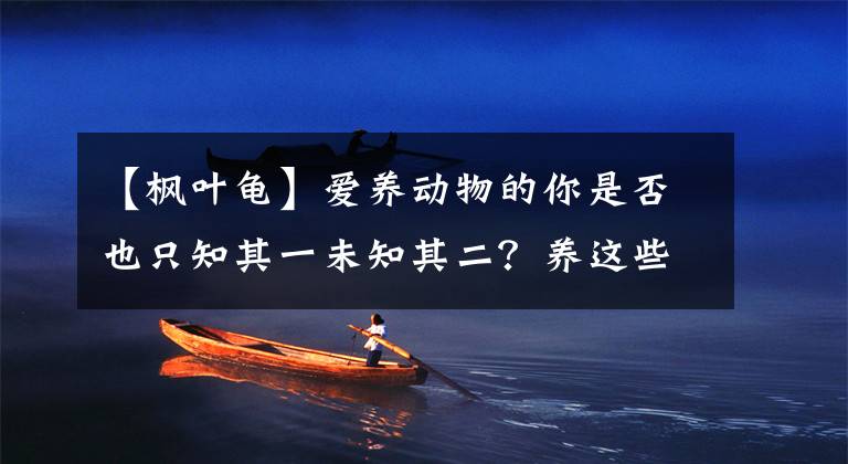 【枫叶龟】爱养动物的你是否也只知其一未知其二？养这些动物可能会触犯法律！