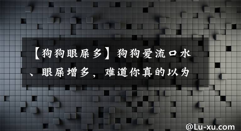 【狗狗眼屎多】狗狗爱流口水、眼屎增多,难道你真的以为这是正常现象吗?