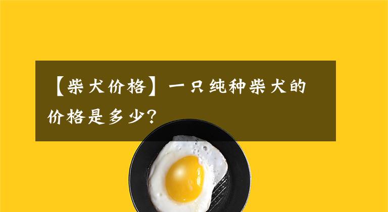 【柴犬价格】一只纯种柴犬的价格是多少？