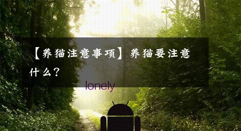 【养猫注意事项】养猫要注意什么？