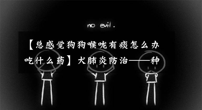【总感觉狗狗喉咙有痰怎么办吃什么药】犬肺炎防治——种疾病的防治