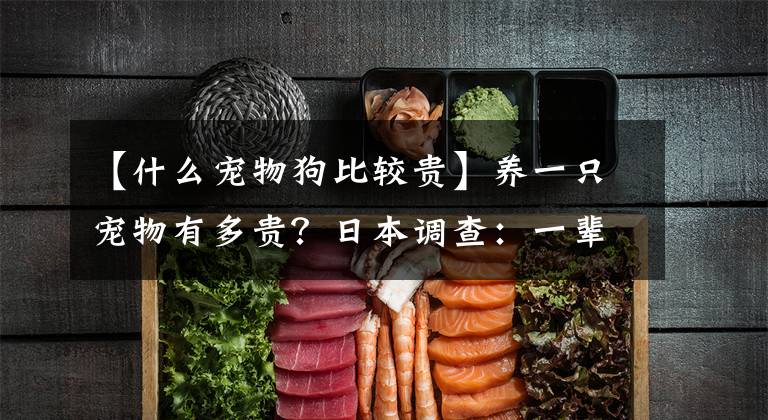 【什么宠物狗比较贵】养一只宠物有多贵?日本调查:一辈子的费用约为8.6万韩元,狗需要14万韩元