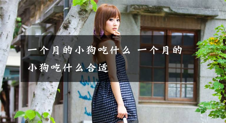 一个月的小狗吃什么 一个月的小狗吃什么合适