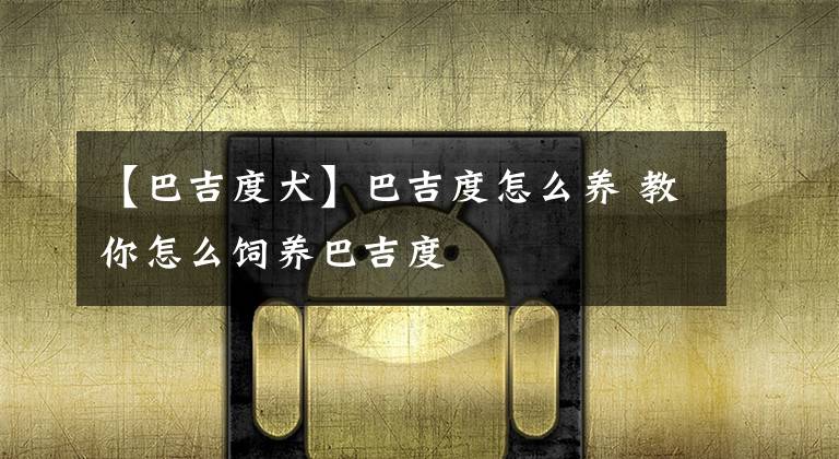 【巴吉度犬】巴吉度怎么养 教你怎么饲养巴吉度