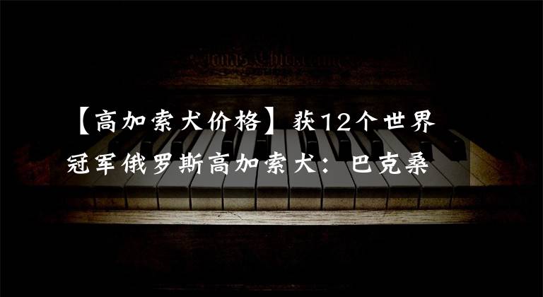 【高加索犬价格】获12个世界冠军俄罗斯高加索犬：巴克桑，体重百公斤身价过千万