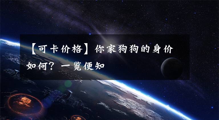 【可卡价格】你家狗狗的身价如何？一览便知