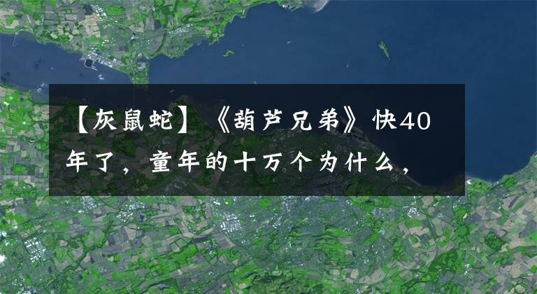 【灰鼠蛇】《葫芦兄弟》快40年了，童年的十万个为什么，终于有了答案