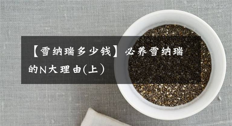 【雪纳瑞多少钱】必养雪纳瑞的N大理由(上）