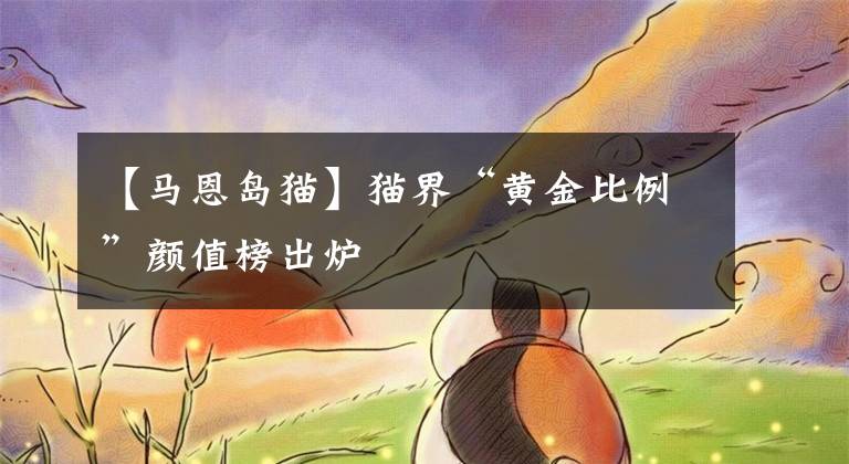【马恩岛猫】猫界“黄金比例”颜值榜出炉