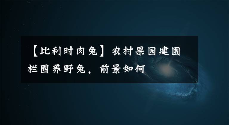 【比利时肉兔】农村果园建围栏圈养野兔，前景如何