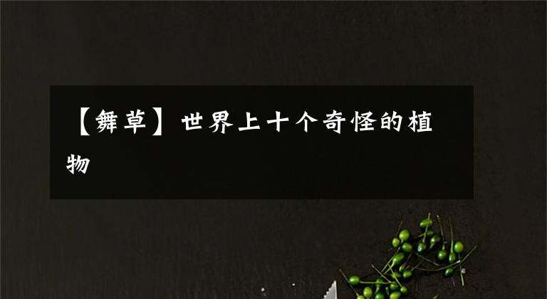 【舞草】世界上十个奇怪的植物