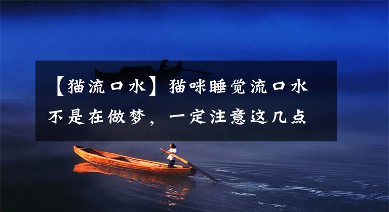 【猫流口水】猫咪睡觉流口水不是在做梦,一定注意这几点!