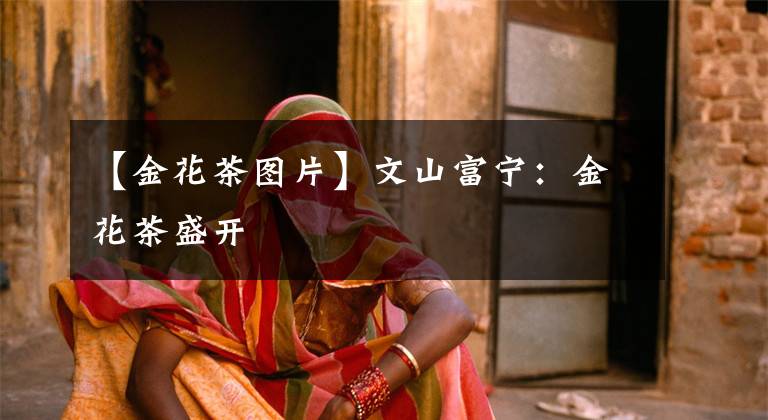 【金花茶图片】文山富宁：金花茶盛开