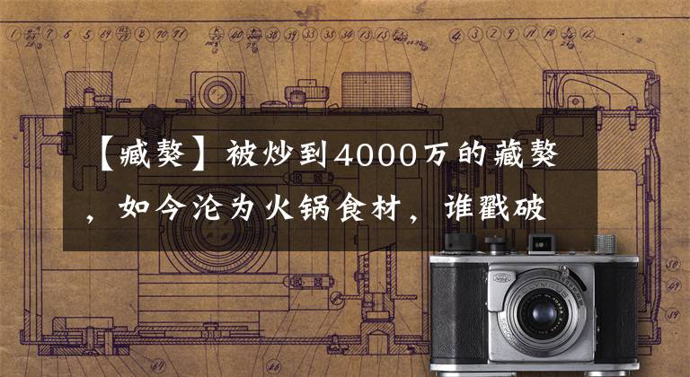 【臧獒】被炒到4000万的藏獒，如今沦为火锅食材，谁戳破了藏獒市场的泡沫