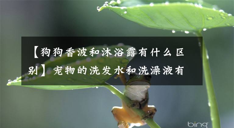 【狗狗香波和沐浴露有什么区别】宠物的洗发水和洗澡液有区别吗?