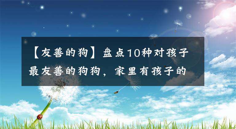 【友善的狗】盘点10种对孩子最友善的狗狗，家里有孩子的一定不要错过！