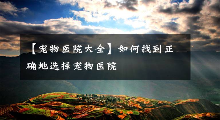 【宠物医院大全】如何找到正确地选择宠物医院