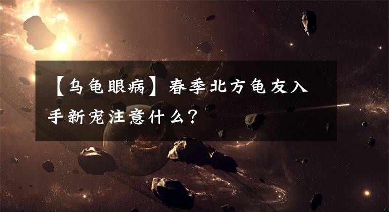 【乌龟眼病】春季北方龟友入手新宠注意什么？