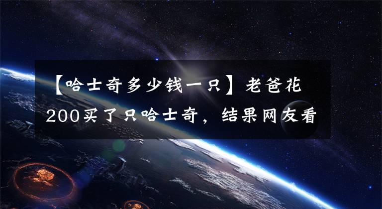 【哈士奇多少钱一只】老爸花200买了只哈士奇,结果网友看后哭笑不得了