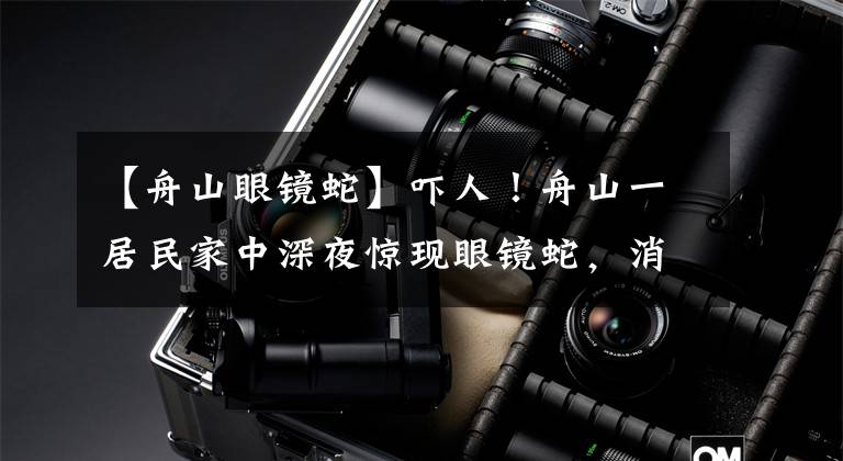 【舟山眼镜蛇】吓人！舟山一居民家中深夜惊现眼镜蛇，消防队员紧急出动