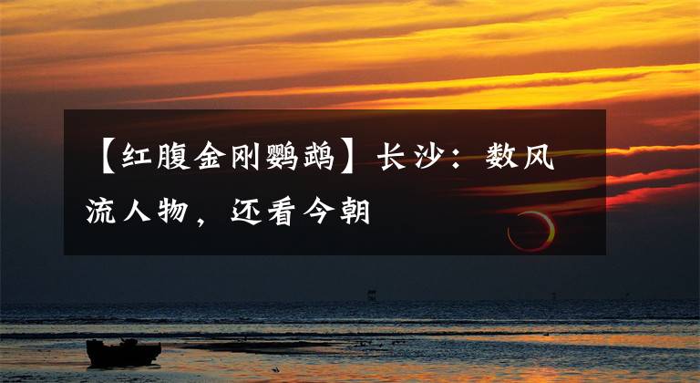 【红腹金刚鹦鹉】长沙：数风流人物，还看今朝