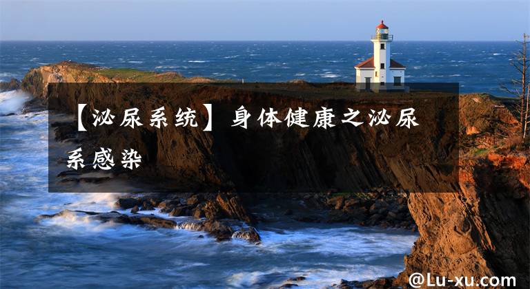 【泌尿系统】身体健康之泌尿系感染