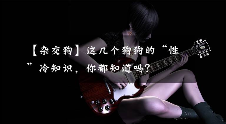【杂交狗】这几个狗狗的“性”冷知识，你都知道吗？