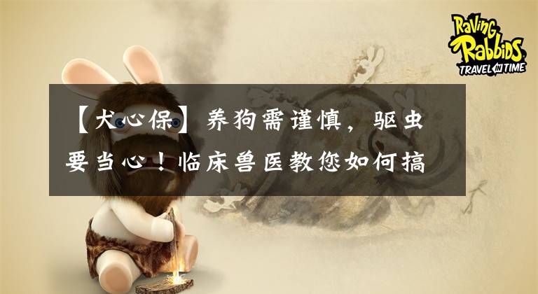 【犬心保】养狗需谨慎,驱虫要当心!临床兽医教您如何搞定免疫驱虫