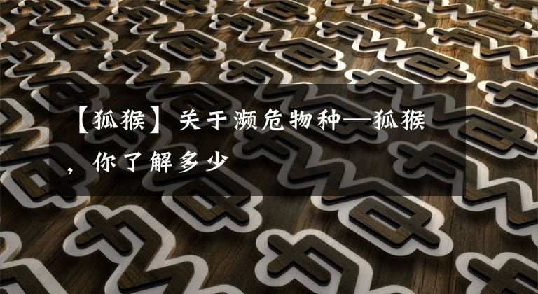 【狐猴】关于濒危物种—狐猴,你了解多少