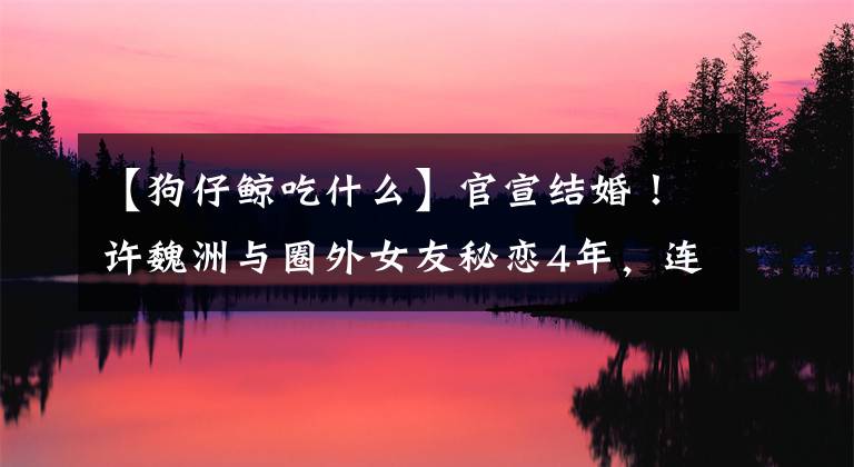 【狗仔鲸吃什么】官宣结婚！许魏洲与圈外女友秘恋4年，连结婚都要亲自下场