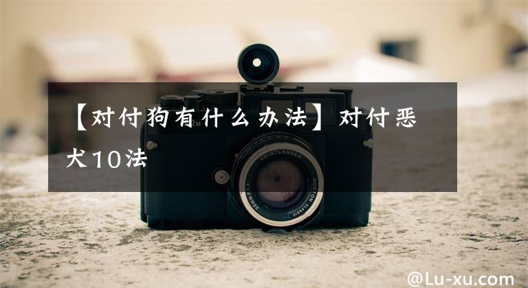 【对付狗有什么办法】对付恶犬10法