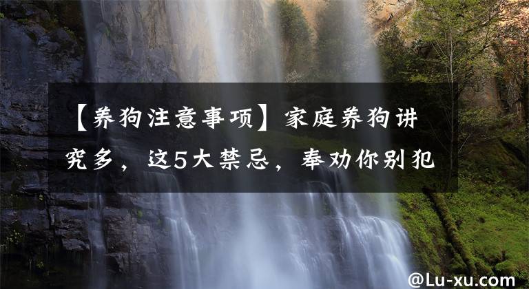 【养狗注意事项】家庭养狗讲究多，这5大禁忌，奉劝你别犯