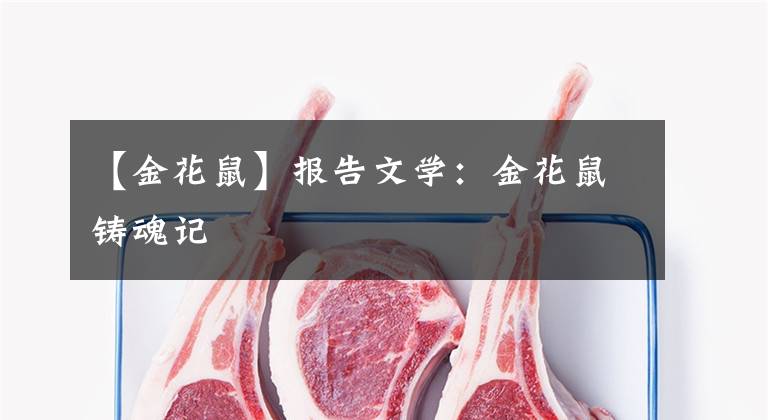 【金花鼠】报告文学：金花鼠铸魂记